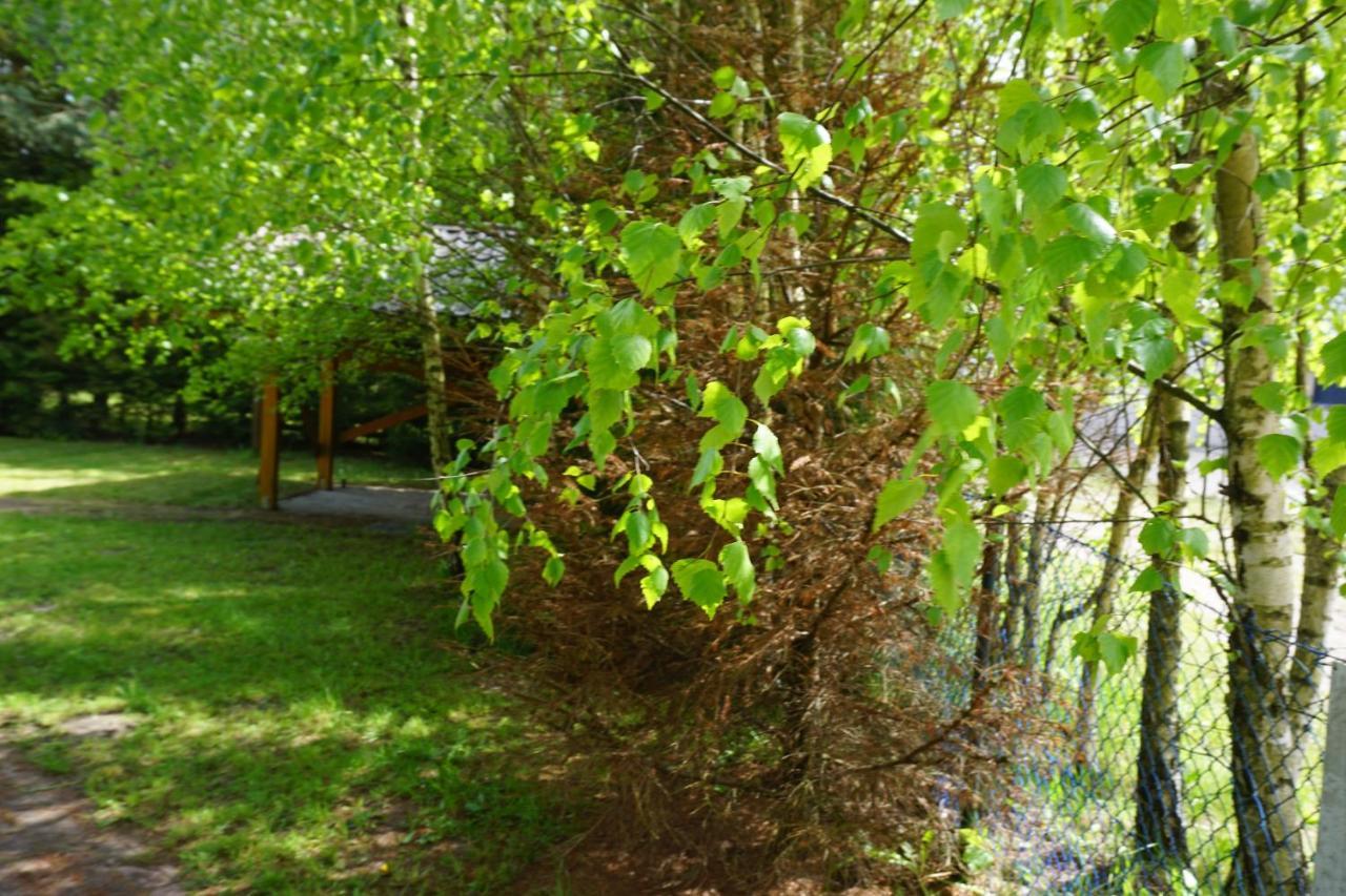 Osada Swierkowa Kopalino Exterior foto
